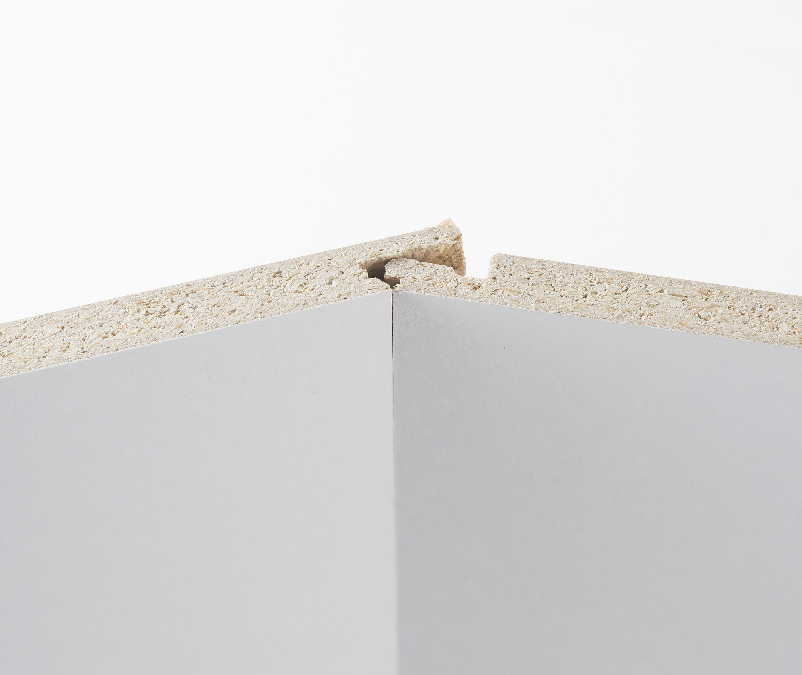 Forestia walls2paint 2pk
