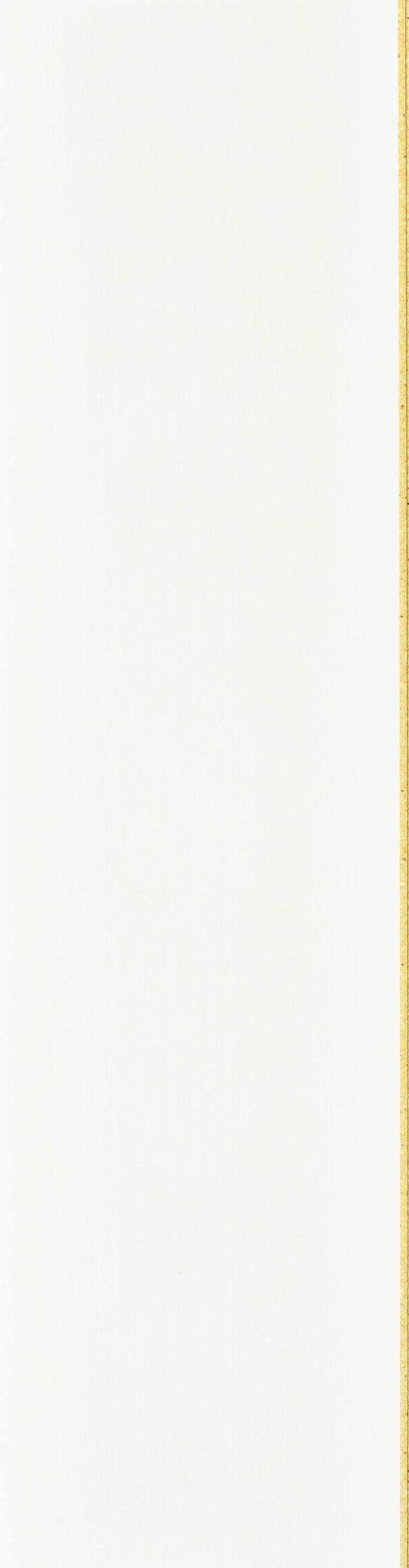 Forestia walls2paint 50pk