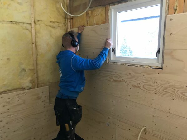 Spruce Ergoboard Plywood - Forestia